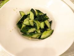 -绿岛生态园