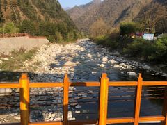 -黑河国家森林公园