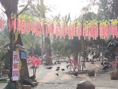 -西双版纳勐泐文化旅游区