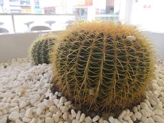 -SEVENBUS(中骏世界城店)