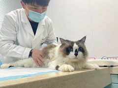 -莘程宠物医院(金山店)
