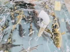 景观位-明记海鲜大排档(巽寮湾店)