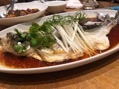钱湖四宝-朋鱼-宁波柏悦酒店·钱湖渔港