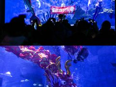 -海合安武汉极地海洋公园