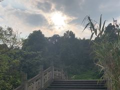 -张坝桂圆林公园