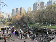 -重庆彩云湖湿地公园