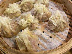 -老阿妈蒙古村·蒙古包·草原文化·歌舞表演(老君堂店)