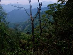 -内乡宝天曼生态旅游区
