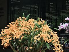 -云溪植物园
