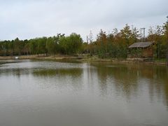 -上海长兴岛郊野公园