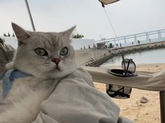 -银沙滩浴场