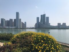 -天鹅湖体育公园