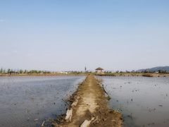 -漩门湾国家湿地公园