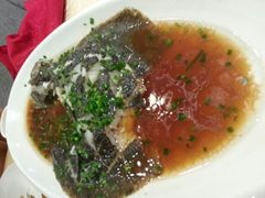 清蒸多宝鱼-海景壹号大酒店(惠钱路店)