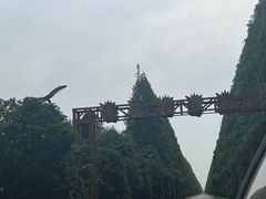 -黄海国家森林公园