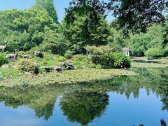 -杭州植物园