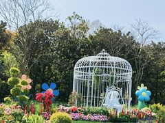 -上海共青森林公园