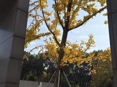 -昆山城市公园
