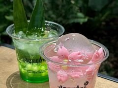 -J Create城市露营咖啡·简餐·宠物(上海动物园店)