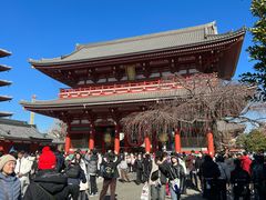 -浅草寺