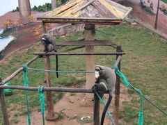 -西霞口神雕山野生动物世界