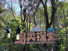 -广州长隆飞鸟乐园