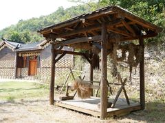 -千年银杏谷文化旅游区