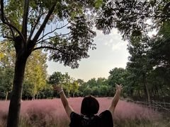 -云龙湖旅游景区