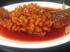 松鼠桂鱼-协和菜馆(凤凰街店)