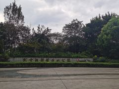 -重庆彩云湖湿地公园