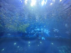 -华夏文旅西安度假区