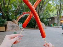 -广州长隆野生动物世界