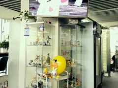 -帝京日语(春熙路旗舰校区)