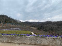 -南京市江宁方山