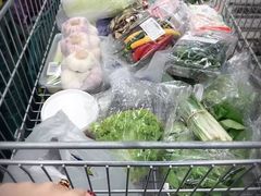 -谢列梅捷沃国际机场