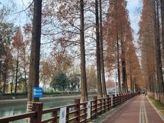 -蜀绣公园