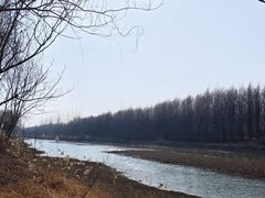 -泗洪洪泽湖湿地景区