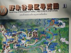-野象谷景区