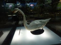 -陕西自然博物馆