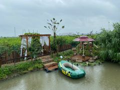 -樂桃源奉贤黄桃种植采摘基地