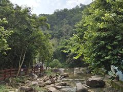 -广州白江湖森林公园