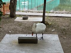 -吉林大学(前卫南区)