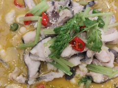 -鲁宴·鲁煨黄河生态大鲤鱼(月坛店)