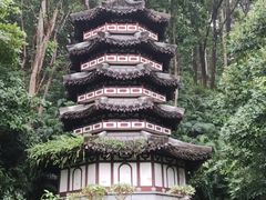 -深圳国际园林花卉博览园