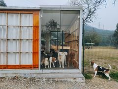 -趣多多宠物公园·宠物训犬学校·宠物寄养
