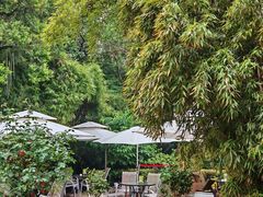 -老洋房花园饭店(绍兴路店)