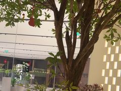 -静耳元気采耳·按摩·SPA(万象前海店)