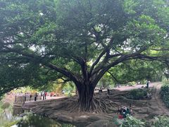 -晓港公园