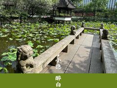 -上海醉白池公园