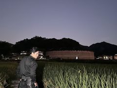 -福建土楼（华安）旅游区•大地土楼群